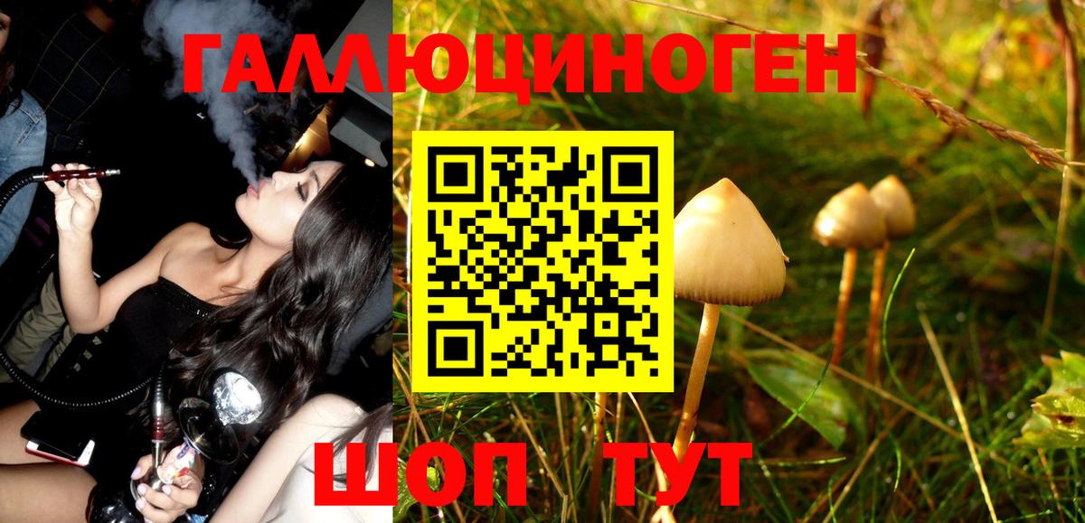 даркнет сайт  Вход с VPN  Белово  Псилоцибиновые грибы Psilocybe 
