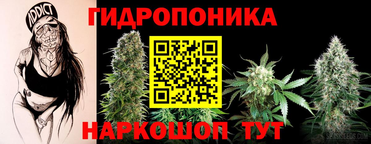 Бошки марихуана SATIVA & INDICA  МАРИХУАНА конопля  Белово  Вход с VPN  Марихуана VHQ 